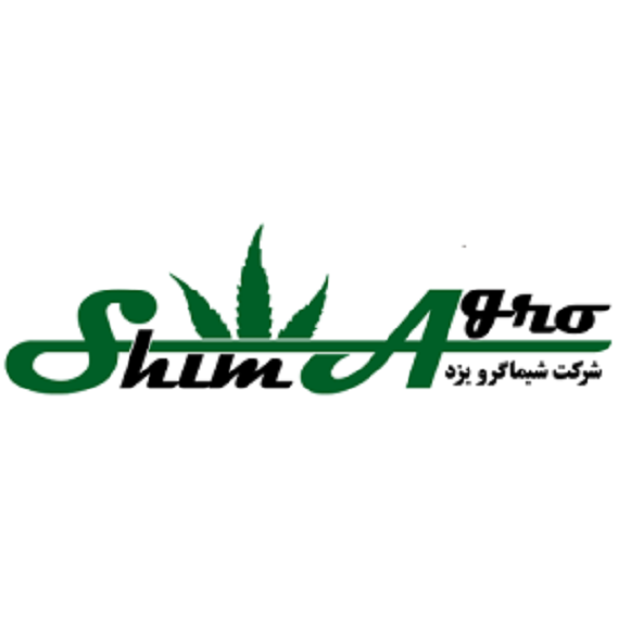 شیما گرو یزد