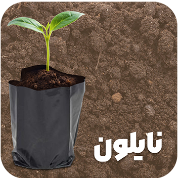 نایلون