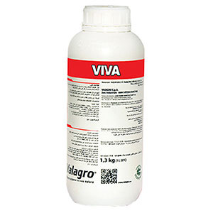 ویوا ایتالیا