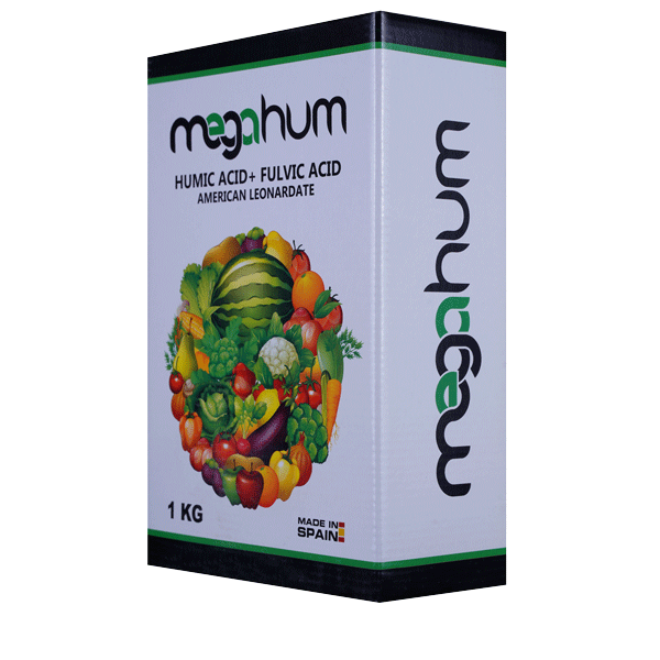 کودمگاهیوم 1KG گرین آرا وارک