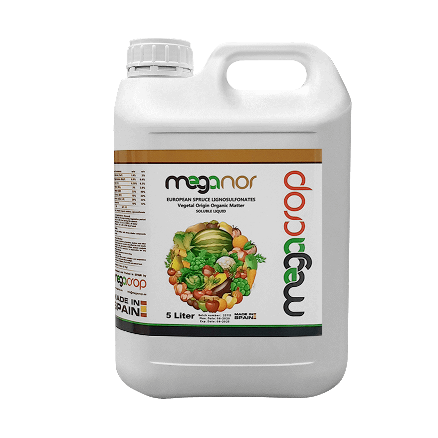 کودمگانور 5L گرین آرا وارک