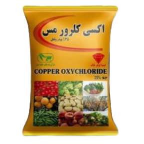 اکسی کلر مس کیمیا گوهر