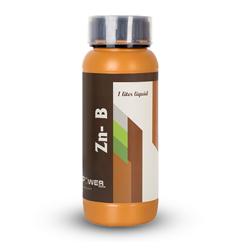 کود میکرو روی بر پاور (تی ) 1L (فروت ست) سارکو