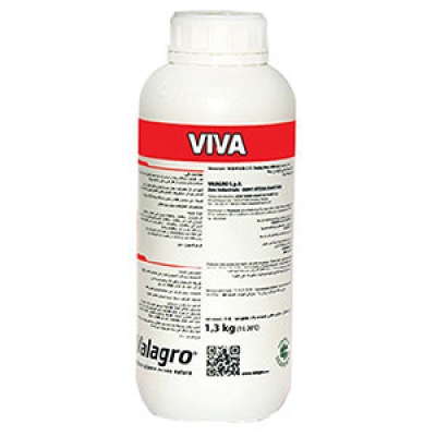 ویوا ایتالیا