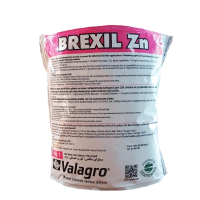 بریکسل روی ایتالیا