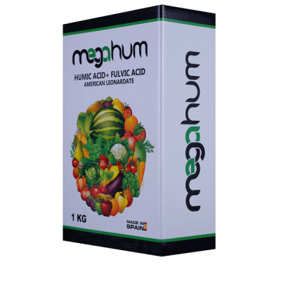 کودمگاهیوم 1KG گرین آرا وارک